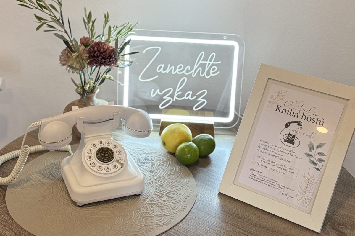 Svatební telefon na svatbu záznamník
